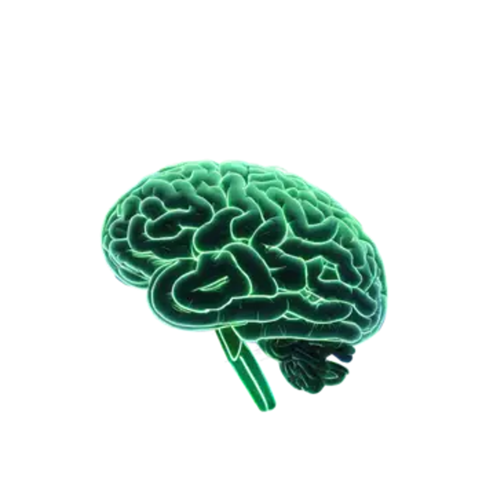Brain illustration showing reward-seeking and impulse control regions